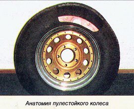 В гостях у лета